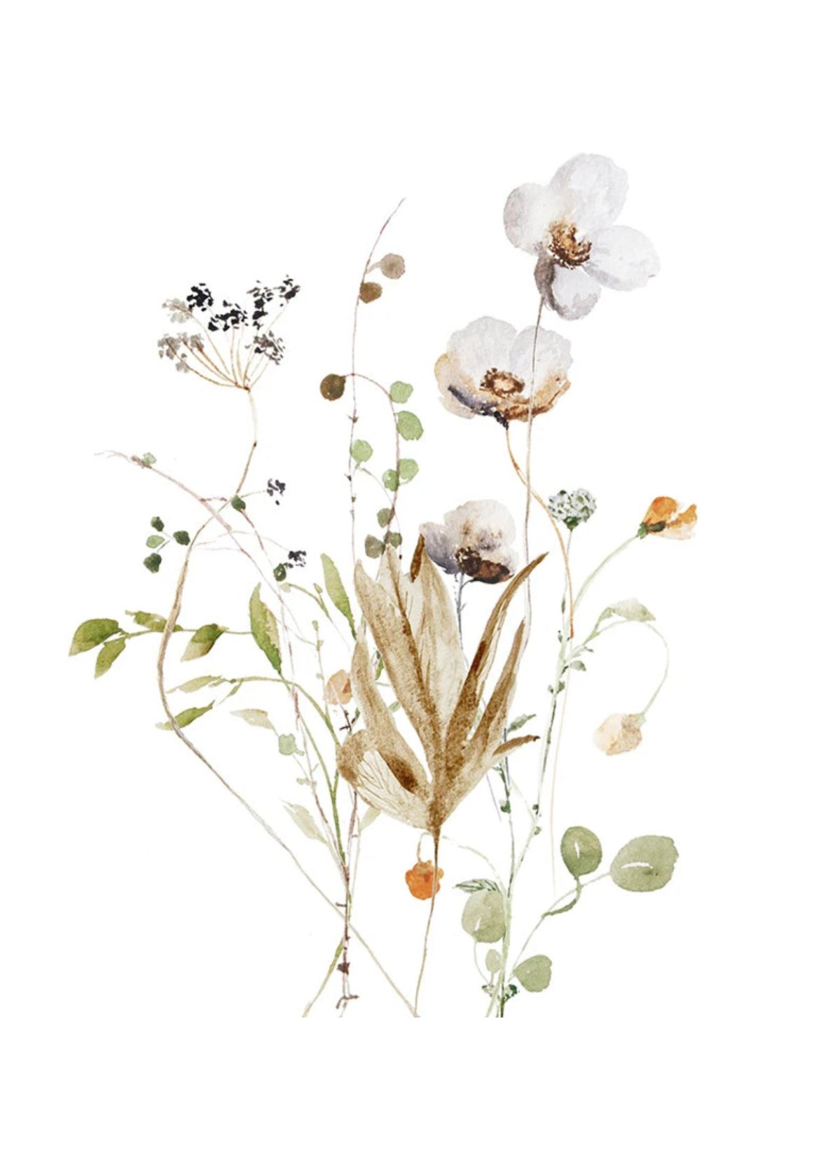 Affiche Décoration Murale Fleurs
